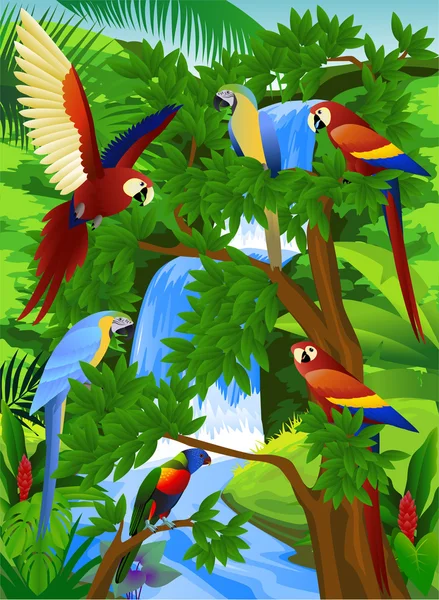 Papagáj madarak az erdőben — Stock Vector