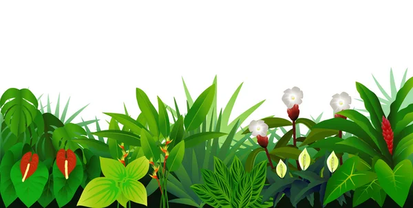 Fond tropical — Image vectorielle