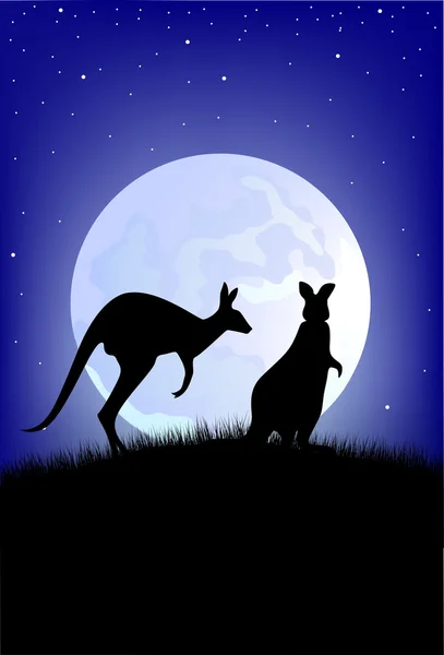 Ábra két kenguru — Stock Vector