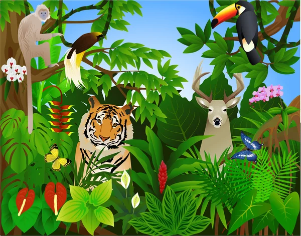 Tropical jungle — Stock Vector