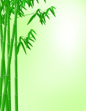 Bamboo forest background clipart