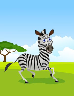 Zebra karikatür