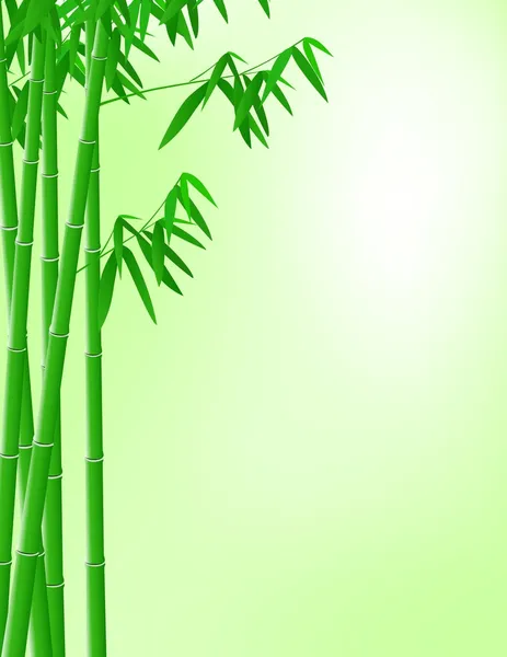 Fondo del bosque de bambú — Vector de stock