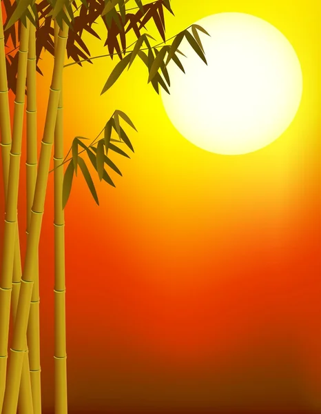 Fondo del árbol de bambú — Vector de stock