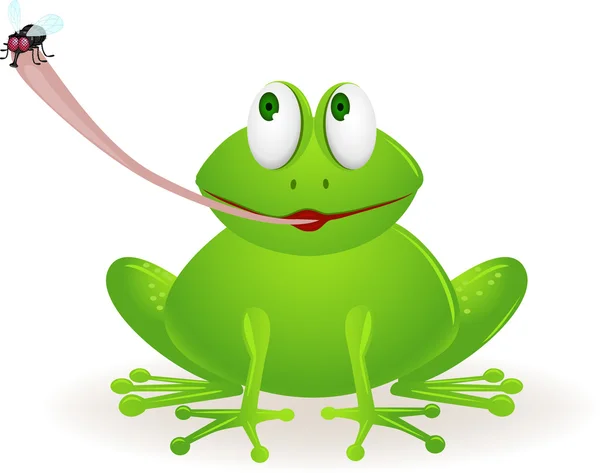 Ładny żaba kreskówka mucha łowienie — Wektor stockowy