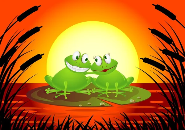 在爱中的青蛙夫妇 — 图库矢量图片