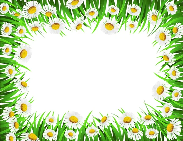 Květin a trávy rám — Stockový vektor