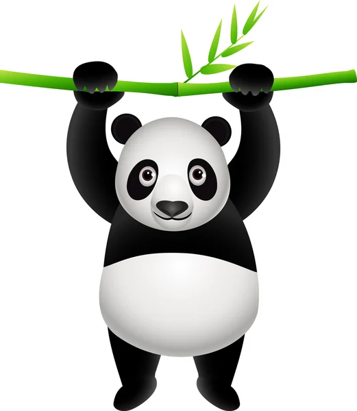 Panda çizgi film — Stok Vektör