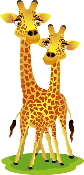Giraffe couple cartoon — Stock Vector