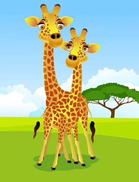 Giraffe couple — Stock Vector