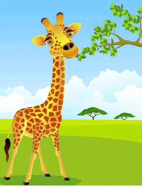 Giraffe cartoon — Stock Vector