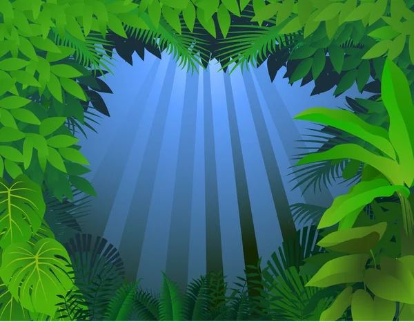 Contexte forestier — Image vectorielle