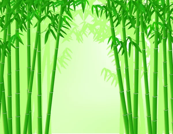 Bambu träd bakgrund — Stock vektor