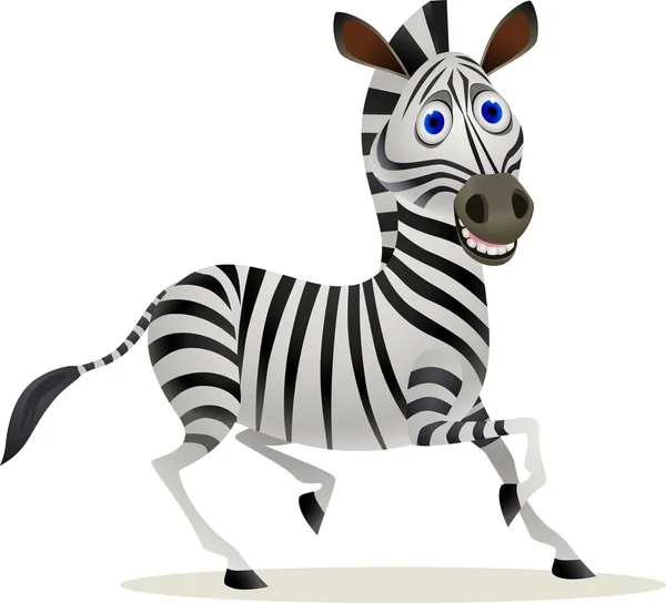 Zebra rajzfilm — Stock Vector