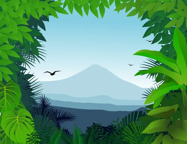 Тропический лес — стоковый вектор