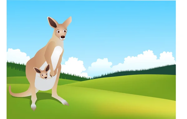 Kangourou Australie — Image vectorielle