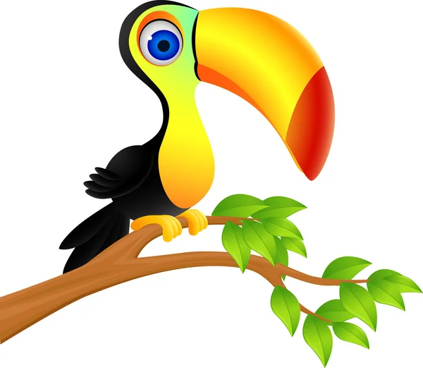 Toucan karikatür — Stok Vektör