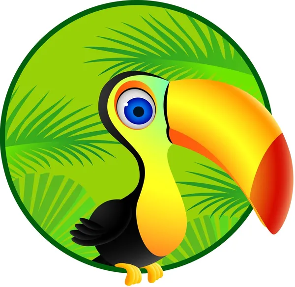Toucan cartoon — Stock Vector