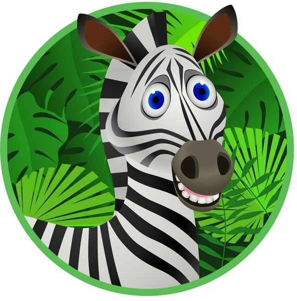 Zebra cartoon — Stock Vector
