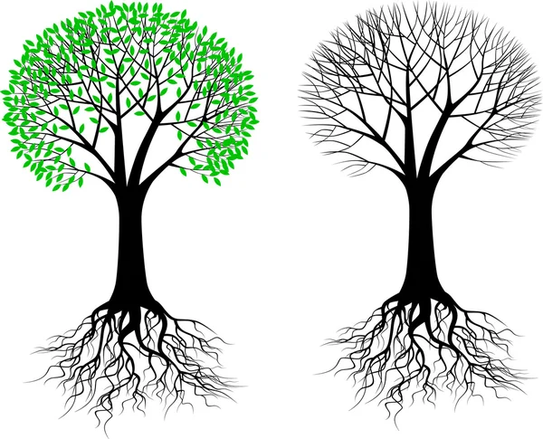 Träd silhouette illustration — Stock vektor