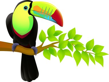 Vector illustration of toucan bird clipart