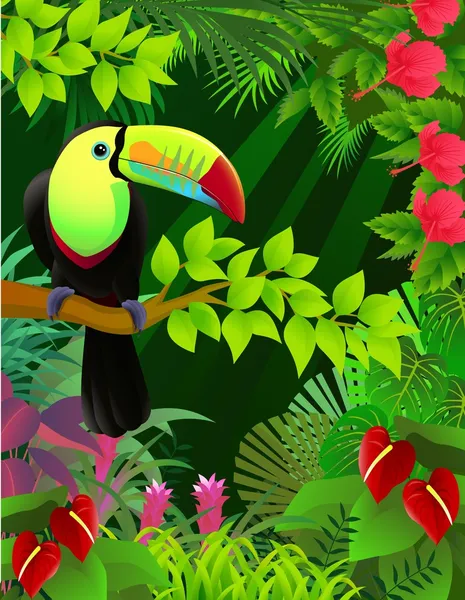 Vector illustration of toucan in the tropical jungle — Stockvector