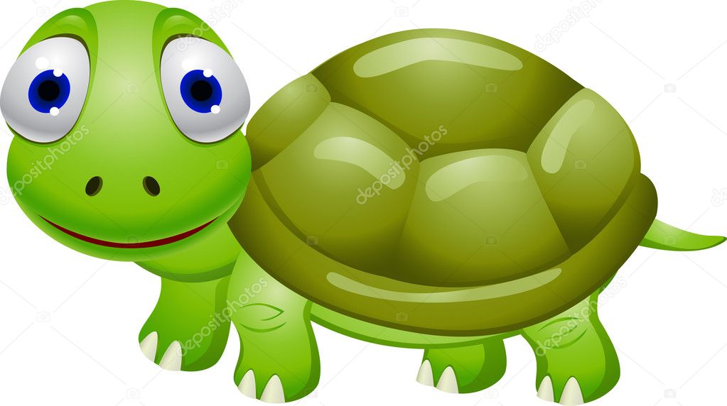 Funny turtle cartoon