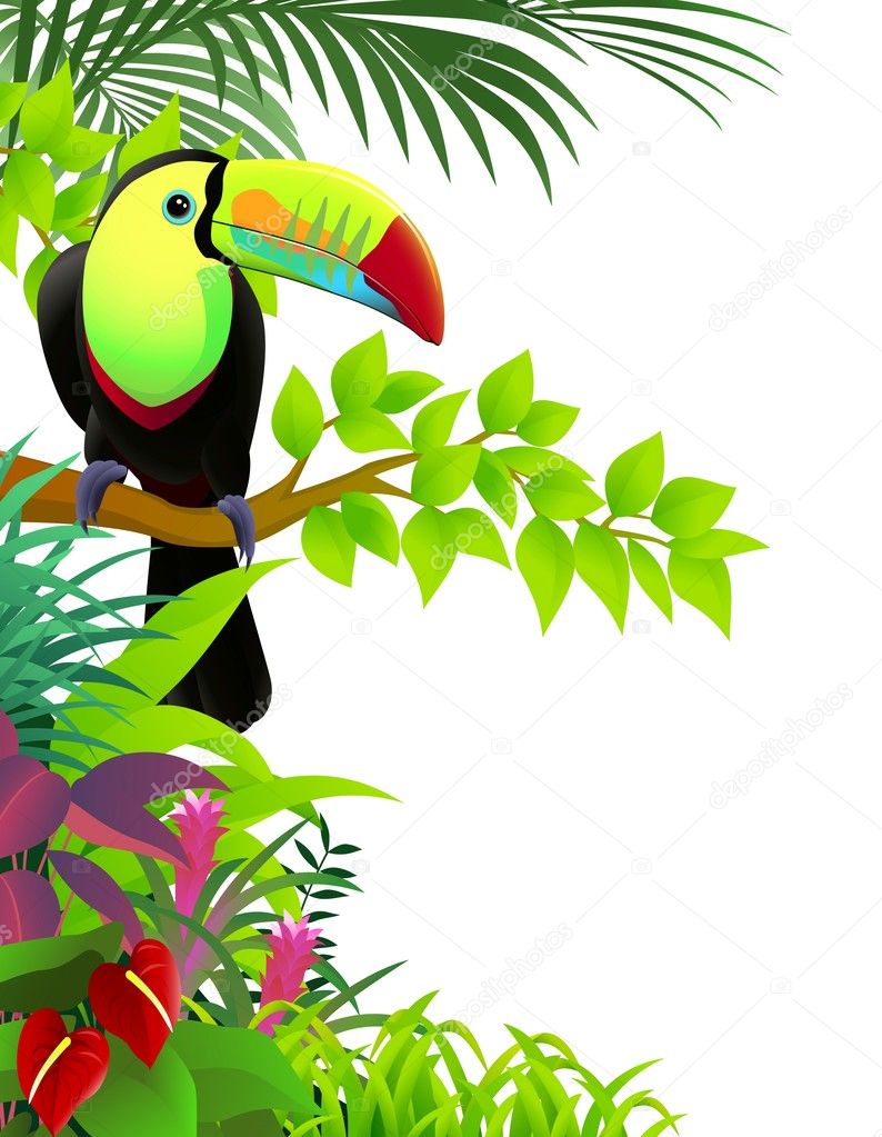 Vector illustration of toucan in the tropical jungle