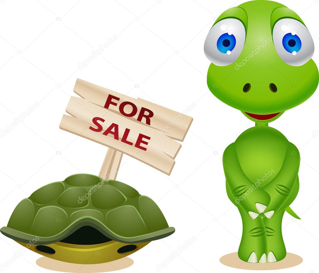 Turtle sell his house