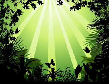 Tropical forest background clipart