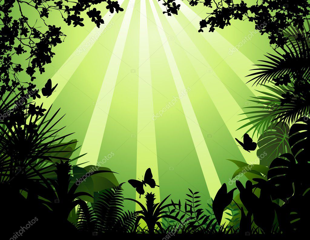 Vector illustration of tropical forest background