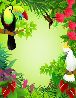 Tropical birds clipart