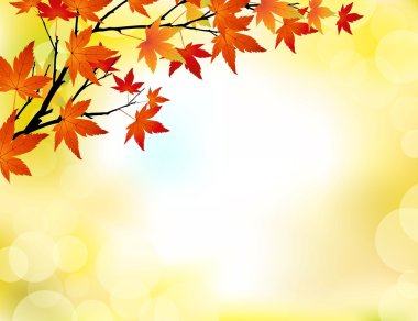 Autumn background clipart