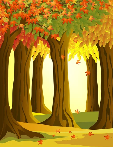 Bosque de otoño — Vector de stock