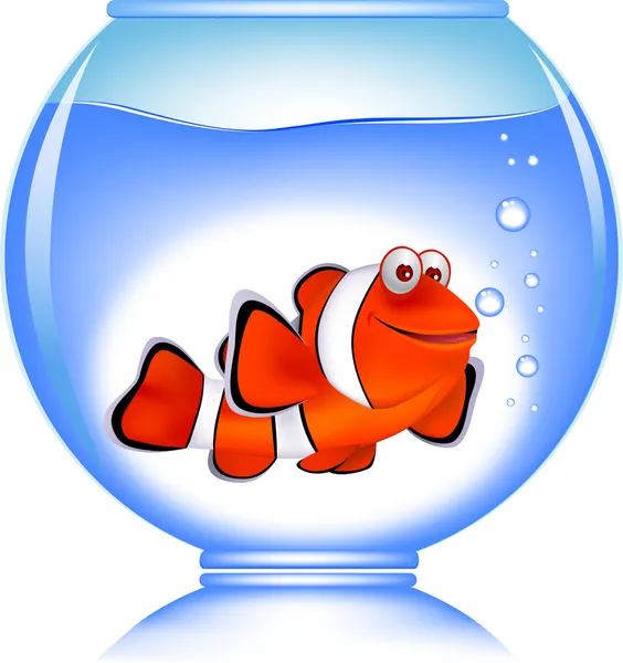 Clownfische im Aquarium — Stockvektor