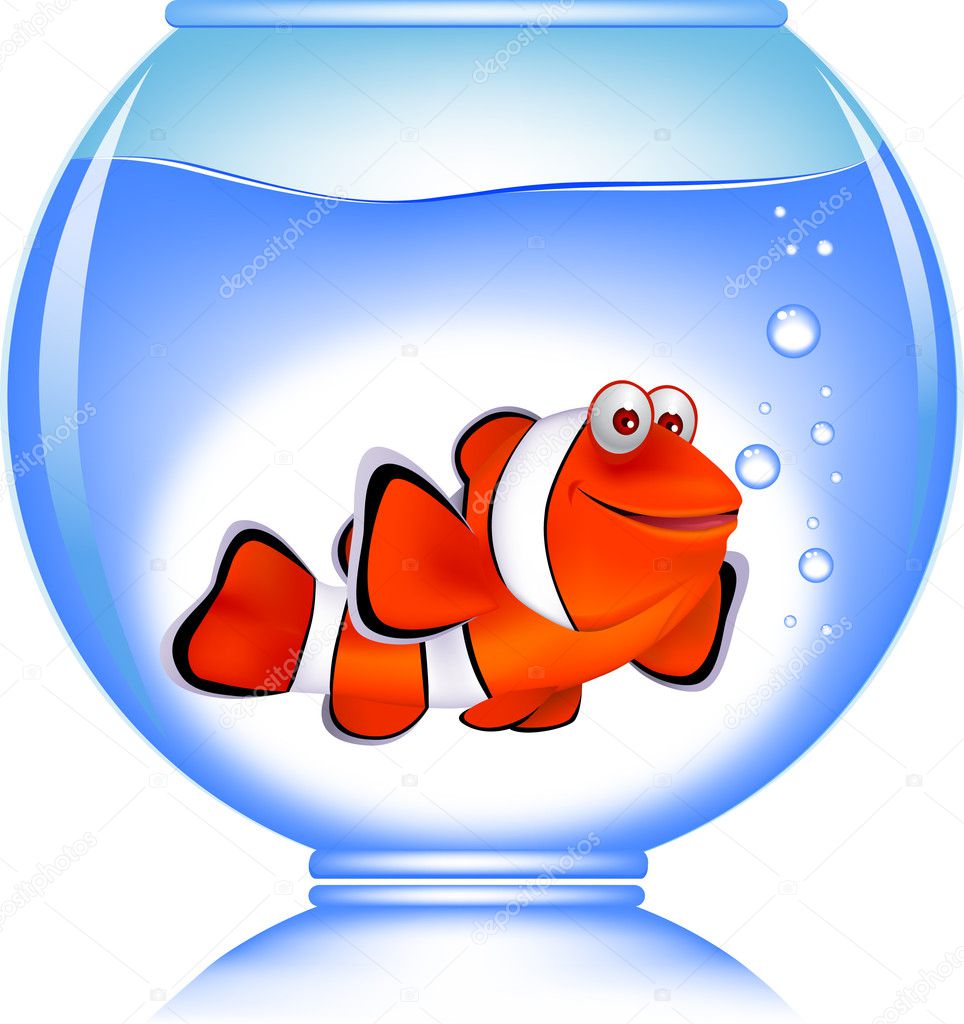 Clown fish in the aquarium