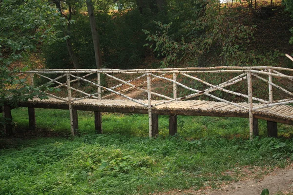Puente de abedul — Foto de Stock