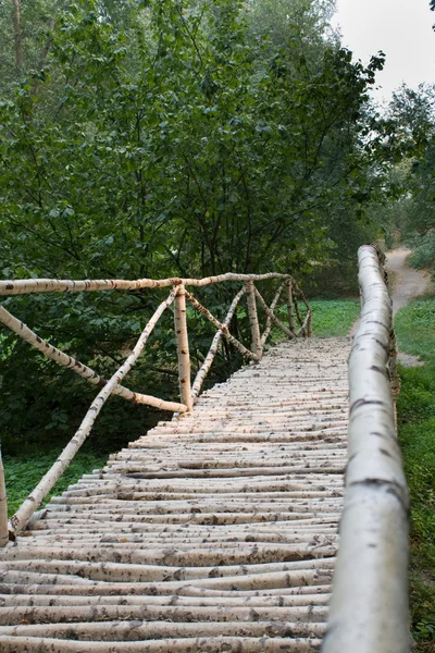 Birch Bridge — Stock Photo, Image