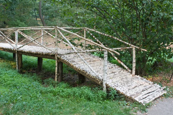 Березовый мост — стоковое фото