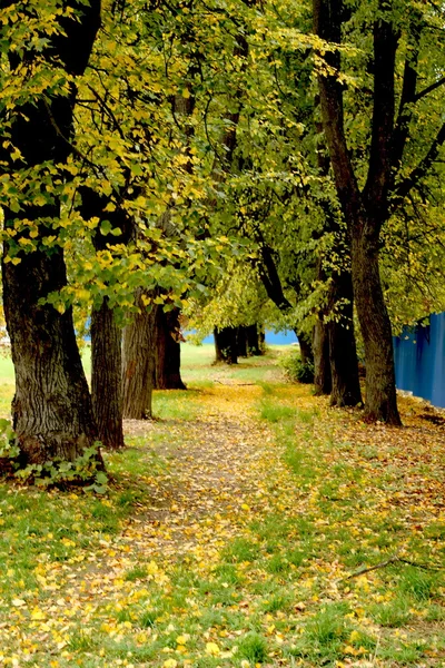 Осенняя аллея — стоковое фото