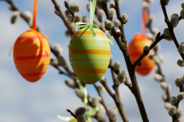 Velikonoční vajíčka, — Stock fotografie