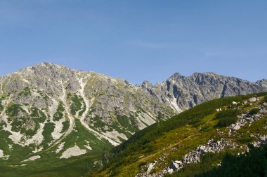 tatras'in