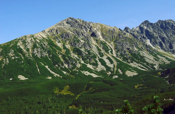 Peak in Tatras — Stock Photo, Image
