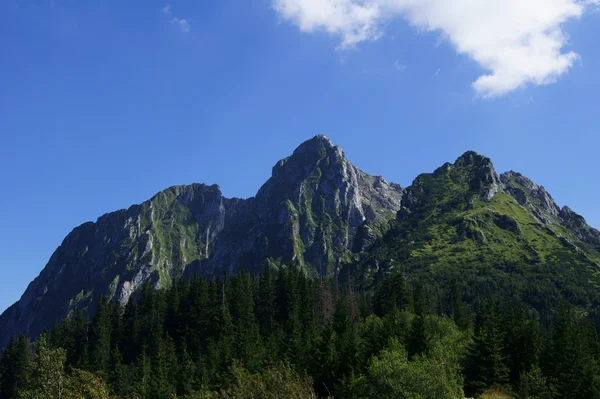 Góra Skalista — Zdjęcie stockowe