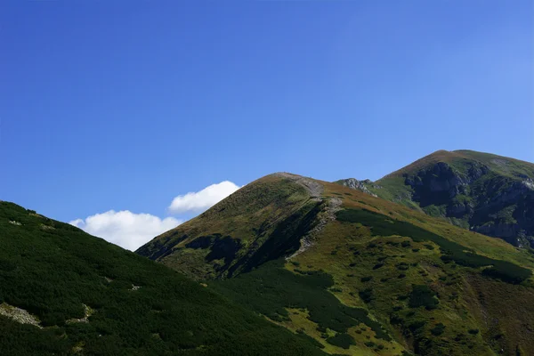 Peak in Tatras — Stock Photo, Image
