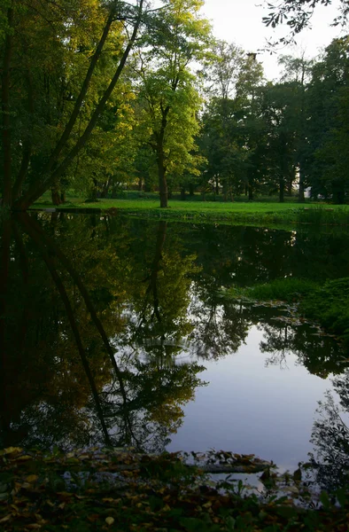 Étang dans le parc — Photo