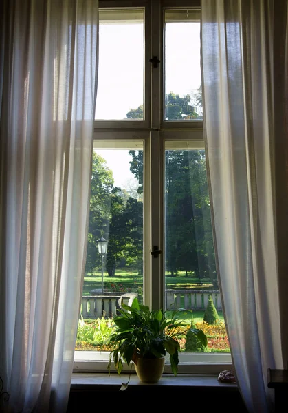 Fenster im Palast — Stockfoto