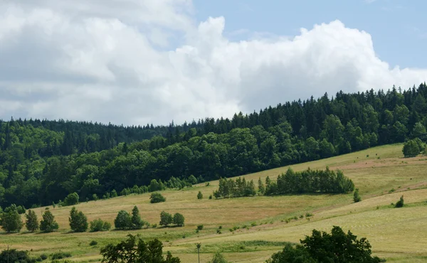Landschap met heuvels — Stockfoto