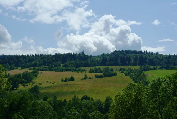 Landschap met heuvels — Stockfoto