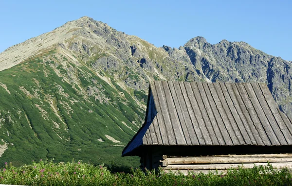 Old chalet in mountains — Stock Photo, Image